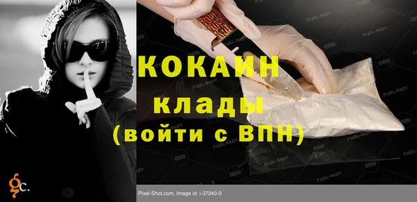 кокс Алексин