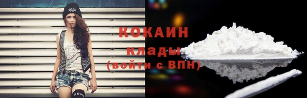 кокс Алексин