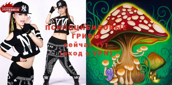 кокс Алексин