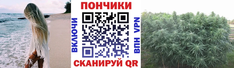 Марихуана Bruce Banner  купить наркоту  Новоузенск 